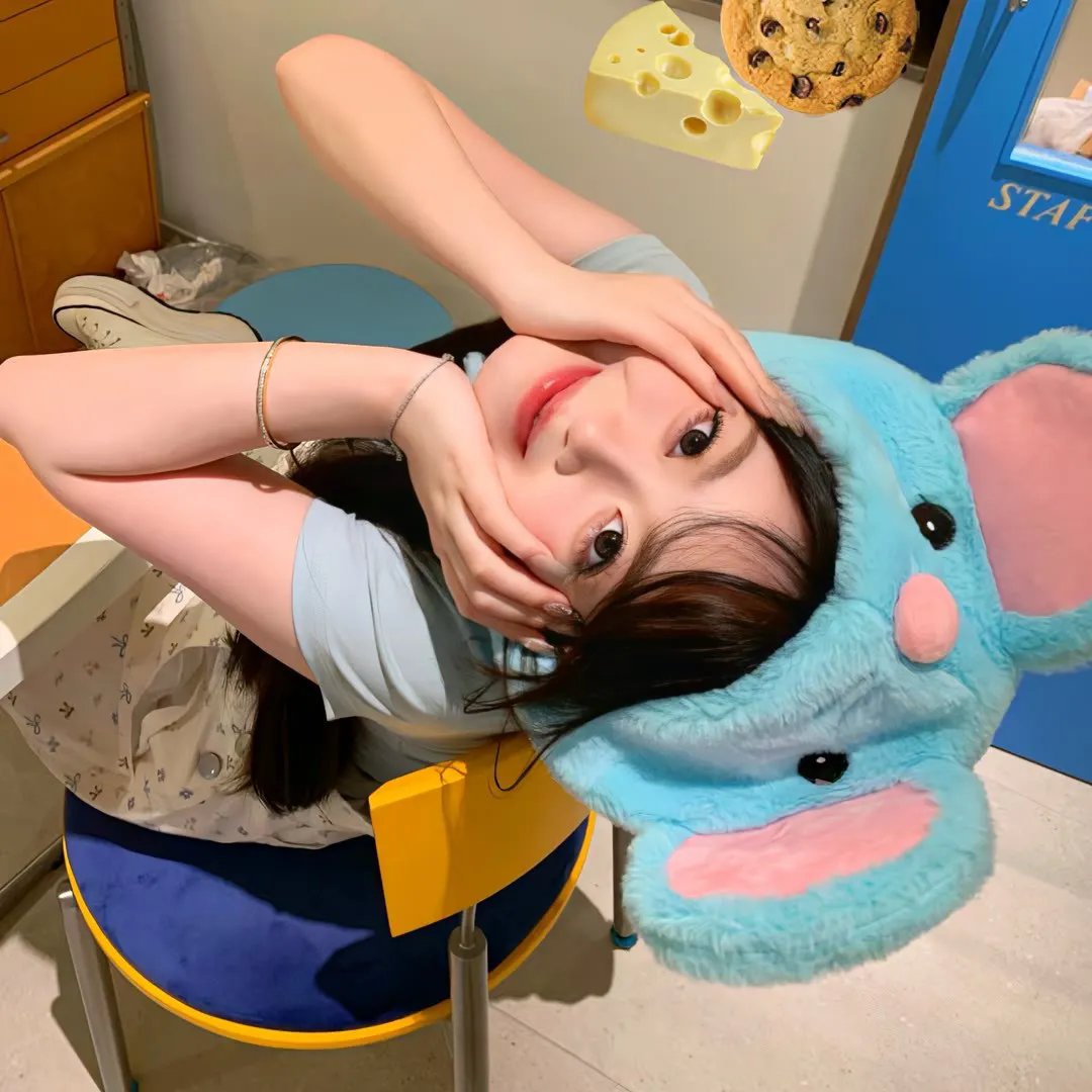 飞上去,企鹅